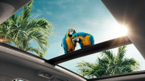 Chery Tiggo 7 Pro Великий панорамний дах